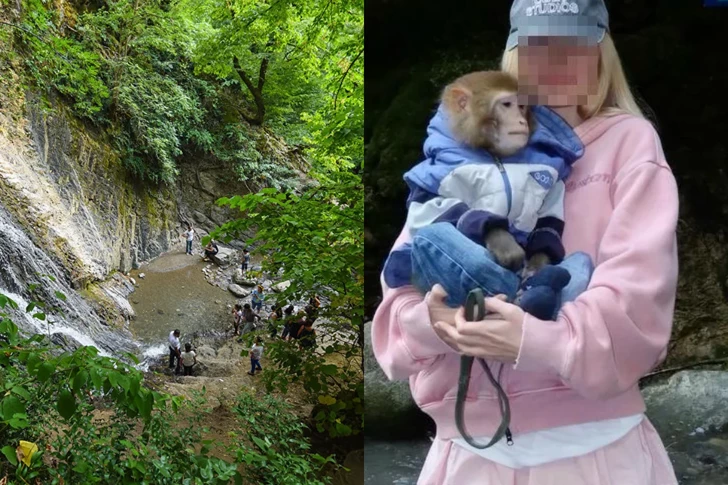 В Габале туристка получила травму головы, фотографируясь с обезьяной