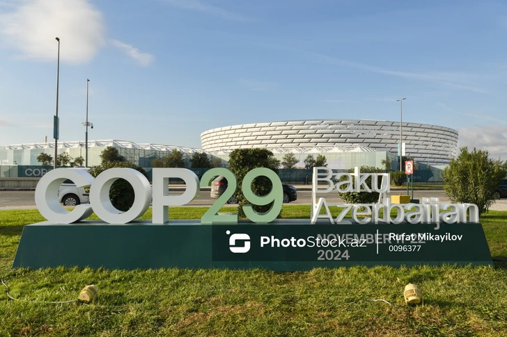 COP29: Мировые лидеры делятся амбициозными климатическими планами в борьбе с изменением климата