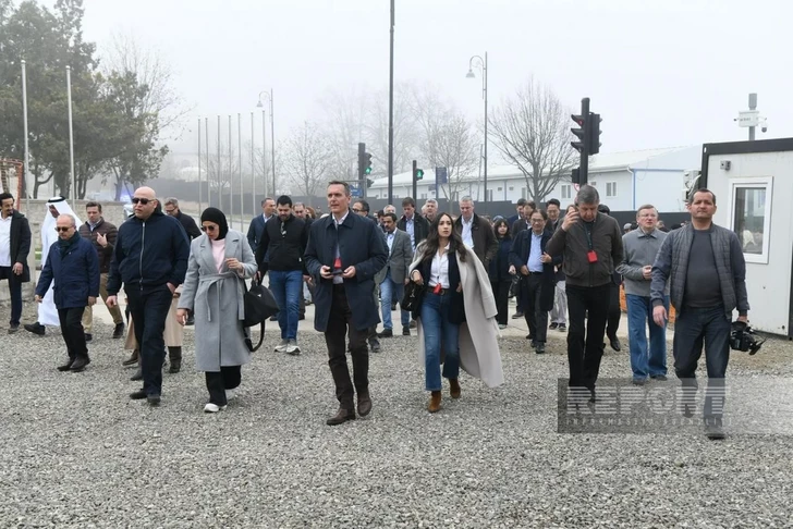 Media.az - Новости Азербайджана - Представители аккредитованного в Азербайджане дипкорпуса побывали в агропромышленном парке в Лачыне