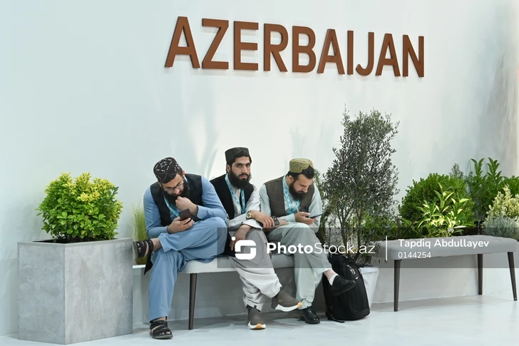 Media.az - Новости Азербайджана - Праздник культур на WUF13: Как Баку объединил урбанистику, традиции и мировое наследие