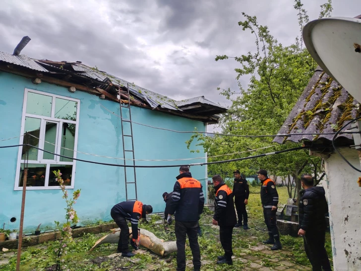Media.az - Новости Азербайджана - Непогода нанесла ущерб Габале и Огузу: службы продолжают восстановительные работы