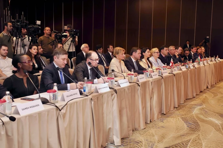 Media.az - Новости Азербайджана - Азербайджан, Грузия, Румыния и Венгрия перешли к реализации энергокоридора