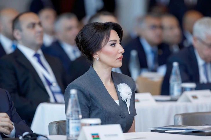 Омбудсмен Азербайджана расценила заявления Армении как попытку подорвать мирные переговоры