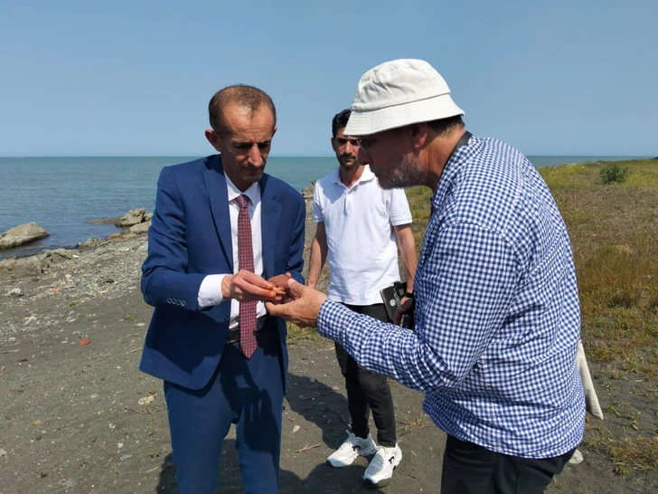 Media.az - Новости Азербайджана - Следы средневекового поселения обнаружены на побережье Каспия в Лянкяране