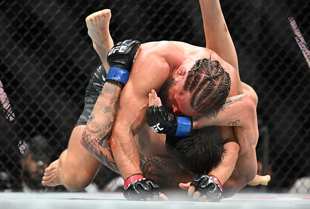 Media.az - Новости Азербайджана - В Азербайджане впервые проведен турнир UFC