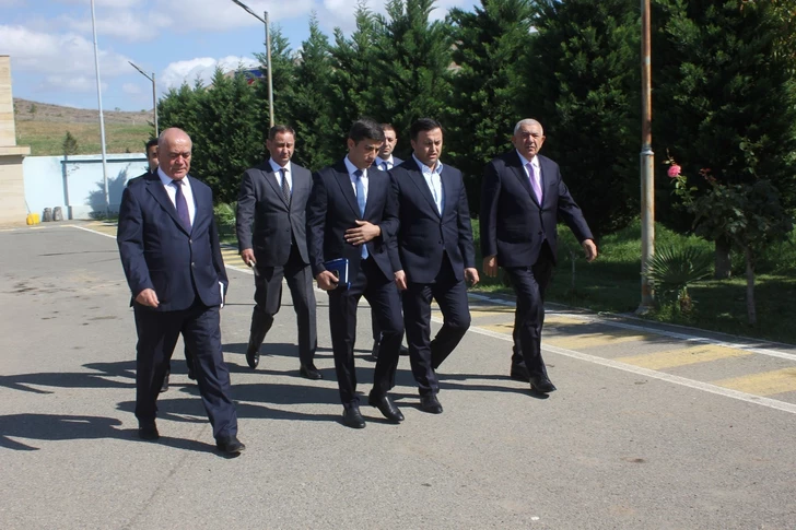 Media.az - Новости Азербайджана - В Товузе оценили состояние и перспективы аграрных хозяйств