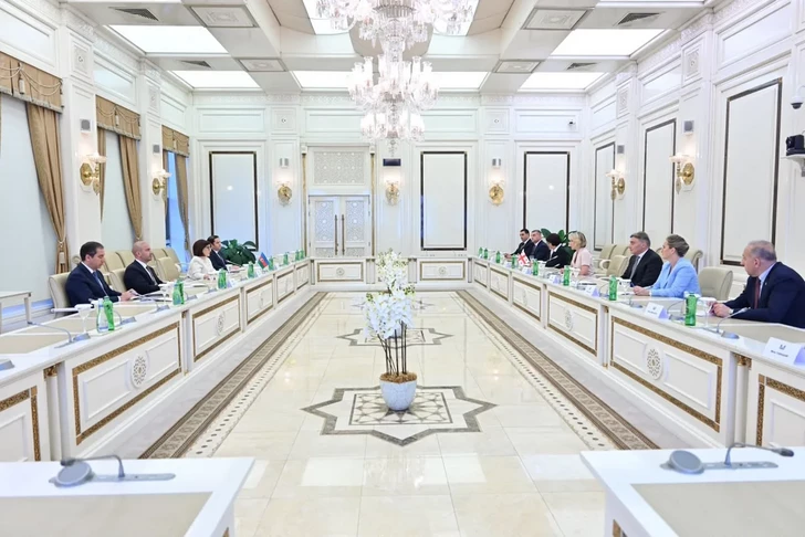 Media.az - Новости Азербайджана - В парламенте Грузии высоко оценили позицию Азербайджана по территориальной целостности страны
