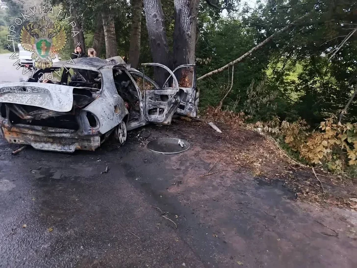 Media.az - Новости Азербайджана - В Татарстане автомобиль врезался в дерево и загорелся - шесть подростков сгорели заживо