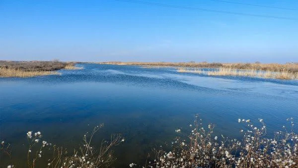 Воду из Ширванского оросительного канала направят в озеро Гаджигабул - ПРИЧИНА