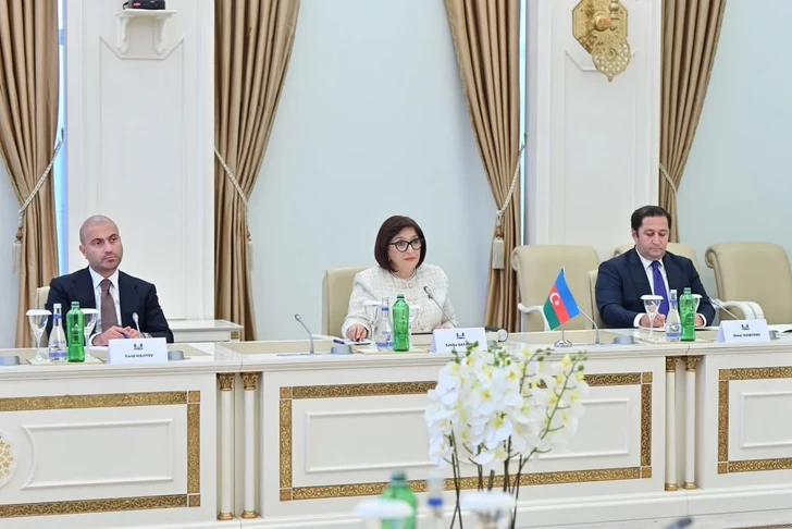 В парламенте Грузии высоко оценили позицию Азербайджана по территориальной целостности страны