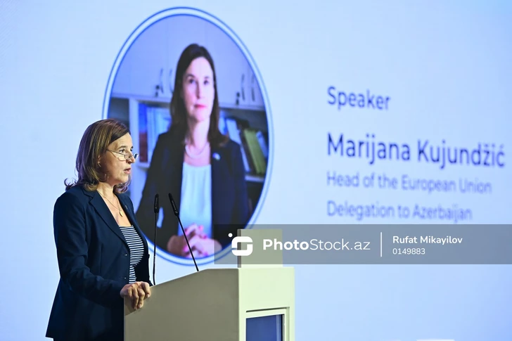 Media.az - Новости Азербайджана - В Баку проходит второй день IV Международной конференции по гуманитарному разминированию