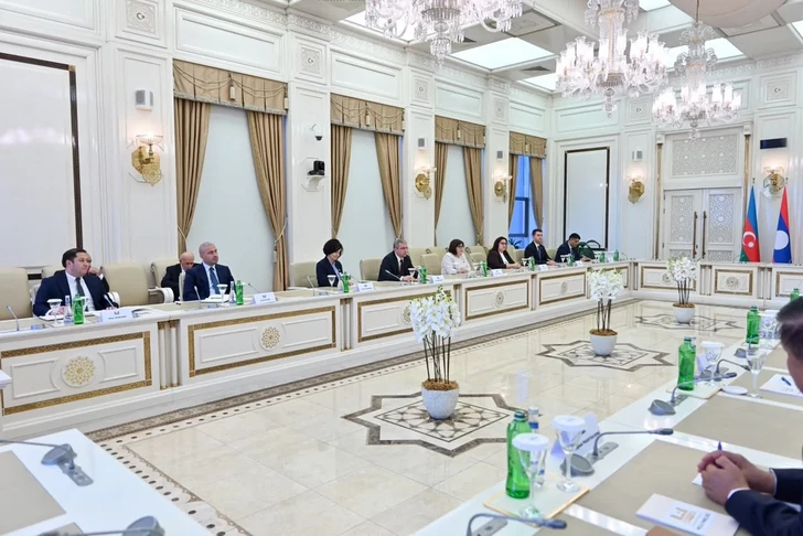 Media.az - Новости Азербайджана - Сахиба Гафарова обсудила с президентом Лаоса развитие межпарламентских связей