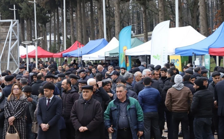 В прошлом году на агробизнес-фестивалях в Азербайджане продана продукция на 6 млн манатов