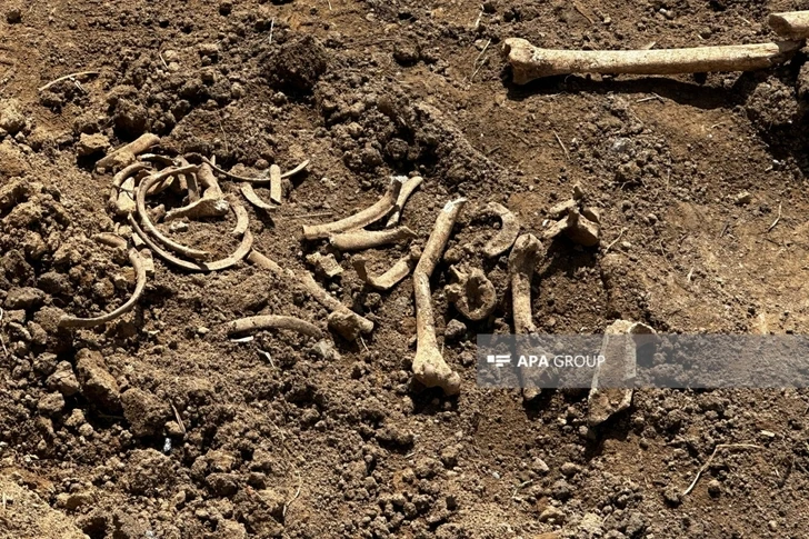 В Ходжалы вновь обнаружены фрагменты человеческих костей