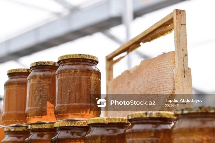 В Баку состоится ярмарка, посвященная продукции пчеловодства
