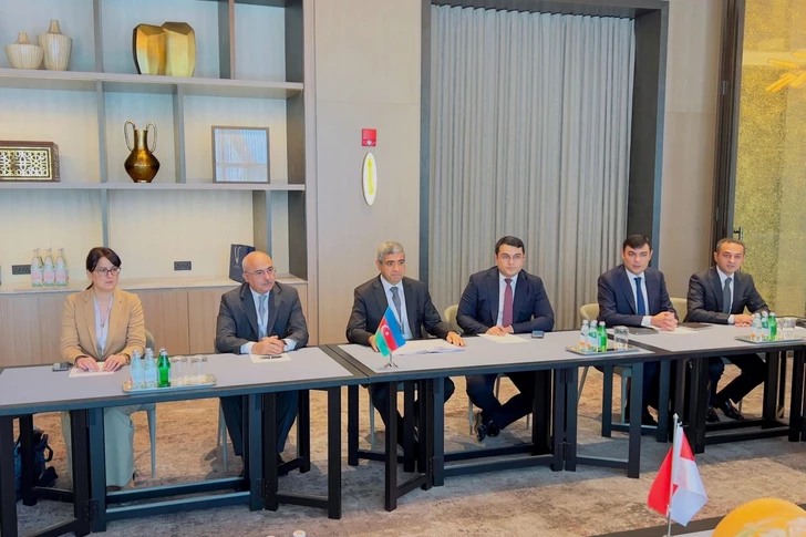 Media.az - Новости Азербайджана - Азербайджан, Индонезия и Катар обсудили сферу занятости