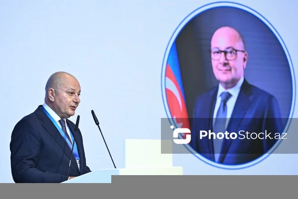 Media.az - Новости Азербайджана - В Азербайджане очищены более 298 тысяч гектаров территорий от мин и взрывоопасных предметов