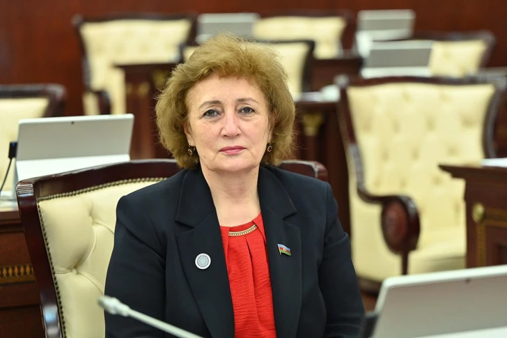 Передача TƏBİB Минздраву: депутат объяснила значение реформ здравоохранения в Азербайджане