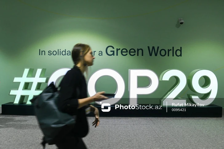 На COP29 прошла панельная сессия на тему «Климатическая справедливость и равенство»
