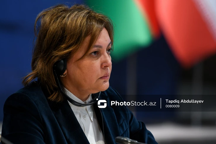 Умайра Тагиева: Азербайджан играет ключевую роль в реализации климатических инициатив D-8