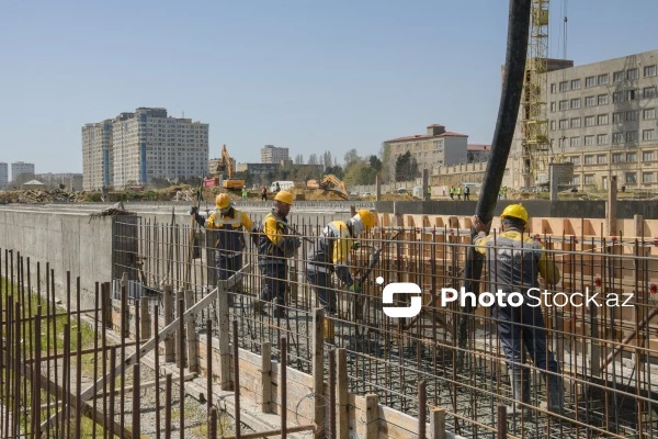 Наемные работники в Азербайджане: какие отрасли лидируют по занятости