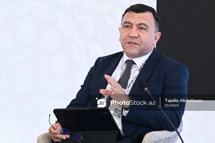 Самед Баширли: Азербайджан стремится углубить структуру экономики