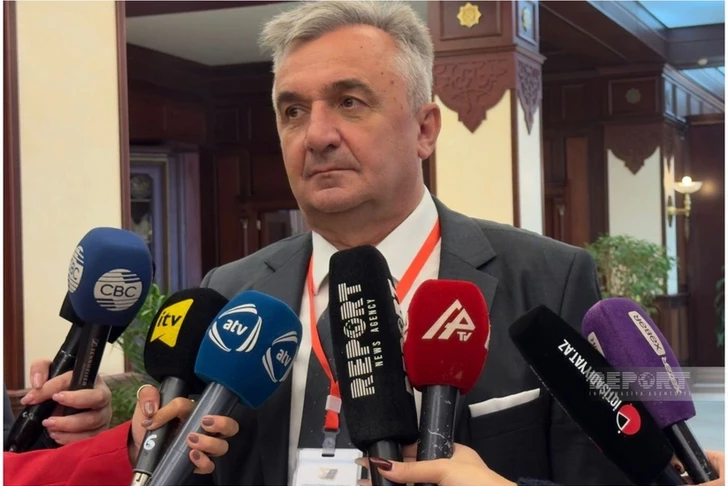 Йован Янич: Азербайджан – надёжный партнёр Сербии в сложные времена