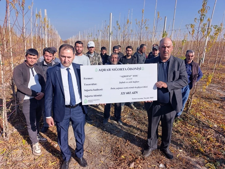 В Азербайджане впервые выплатили страховку за ущерб фруктовым садам после града