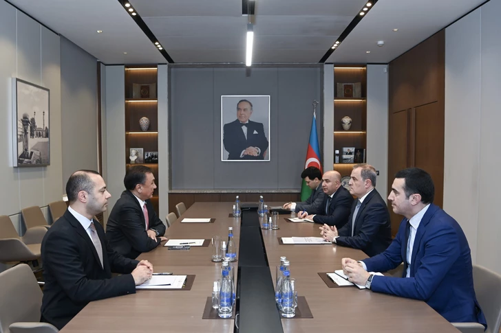 Глава МИД Азербайджана принял генерального секретаря ОТГ