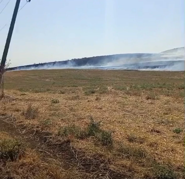 В четырех районах Азербайджана установлены виновники пожаров на сельхозугодьях