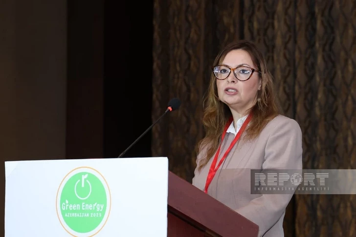 Эксперт UNEC: Водородная экономика — ключ к устойчивому развитию Азербайджана