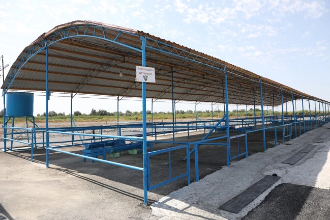 Рынок по продаже скота в Агдашском районе возобновил работу после реорганизации