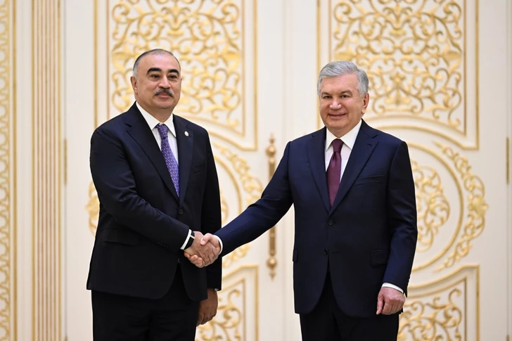 Новый посол Азербайджана Рашад Мамедов вручил верительные грамоты президенту Узбекистана