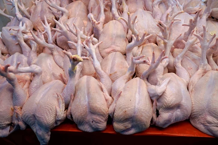 Дискуссия о курином мясе: профессор против производителей