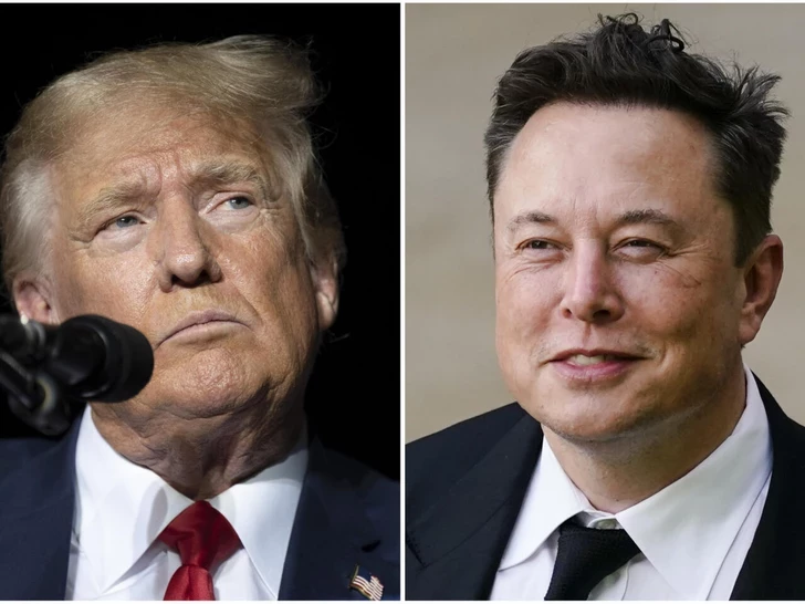 Трамп заявил, что не станет разрушать бизнес Маска