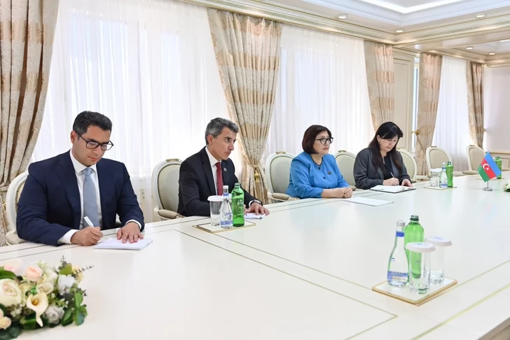 Media.az - Новости Азербайджана - Сахиба Гафарова обсудила с Бобом Блэкменом восстановление освобожденных территорий