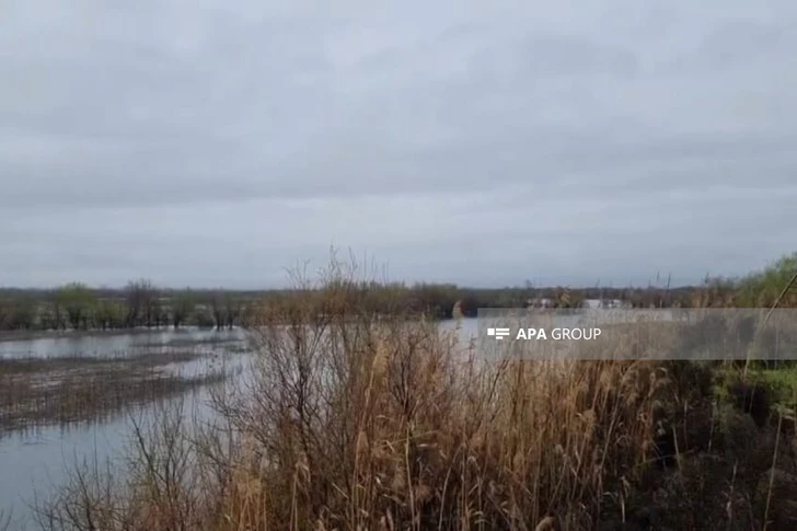 Media.az - Новости Азербайджана - Сотрудники МЧС спасли семью с детьми, оказавшуюся в ловушке посреди Куры