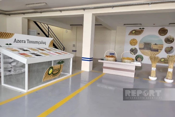 Сабирабадское предприятие Azera Toxumçuluq создаст 20 новых рабочих мест
