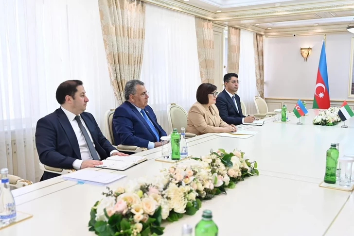 Media.az - Новости Азербайджана - Председатель Милли Меджлиса встретилась с первым зампреда Федерального национального совета ОАЭ