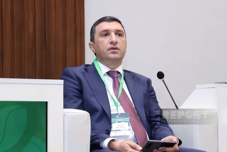 Эльхан Микаилов заявил о проблеме финансовой грамотности фермеров в Азербайджане