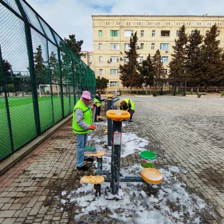Media.az - Новости Азербайджана - В Баку провели общегородской субботник
