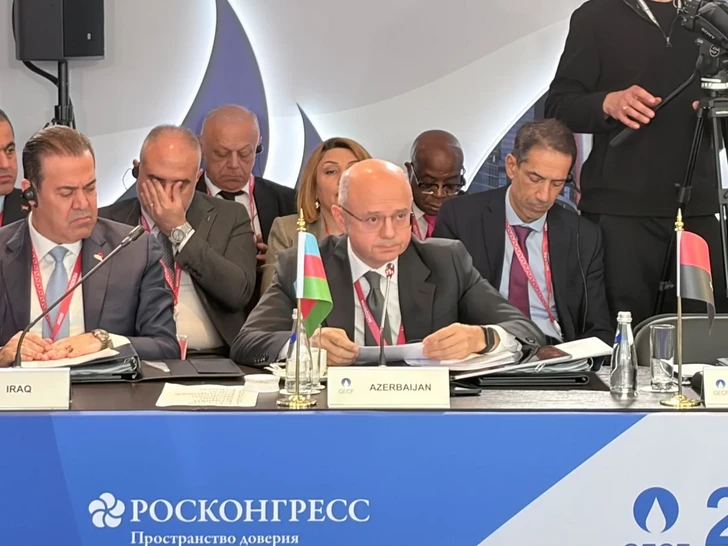 Пярвиз Шахбазов: Растущий спрос на газ и развитие ИИ требуют немедленных инвестиций