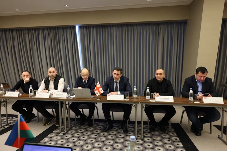 Media.az - Новости Азербайджана - Азербайджан и Грузия обсудили расширение транспортно-логистического сотрудничества