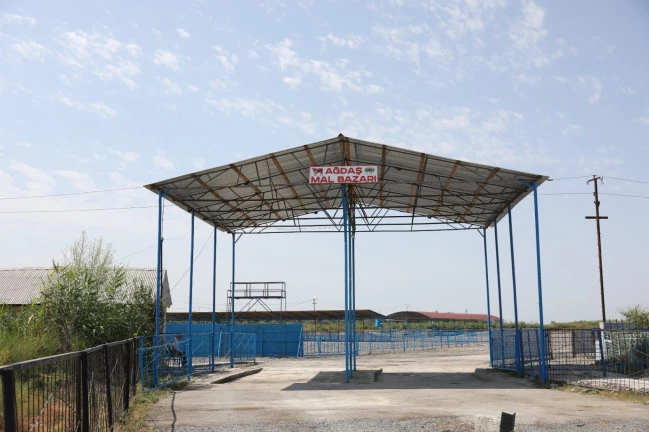 Media.az - Новости Азербайджана - Рынок по продаже скота в Агдашском районе возобновил работу после реорганизации