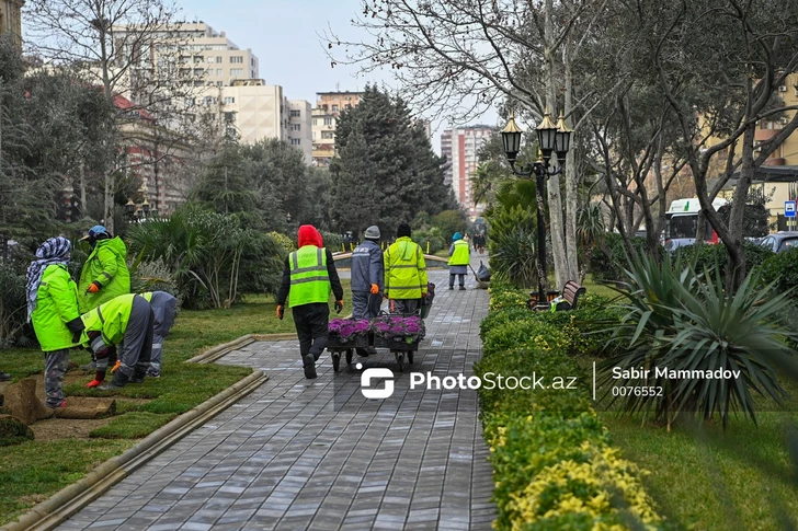 В Баку начнут масштабные работы по благоустройству тротуаров, дворов, парков и садов
