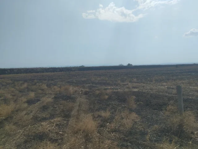 Media.az - Новости Азербайджана - Полиция установила виновников пожаров в четырех районах Азербайджана