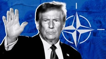 Разногласия между США и НАТО: Трамп назвал альянс «бумажным тигром»