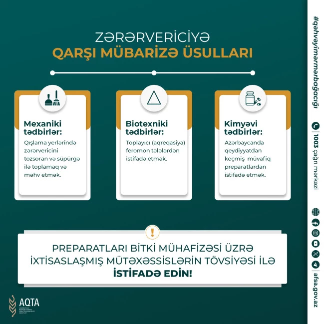 Media.az - Новости Азербайджана - АПБА проинформировало население о методах борьбы с коричневым мраморным клопом