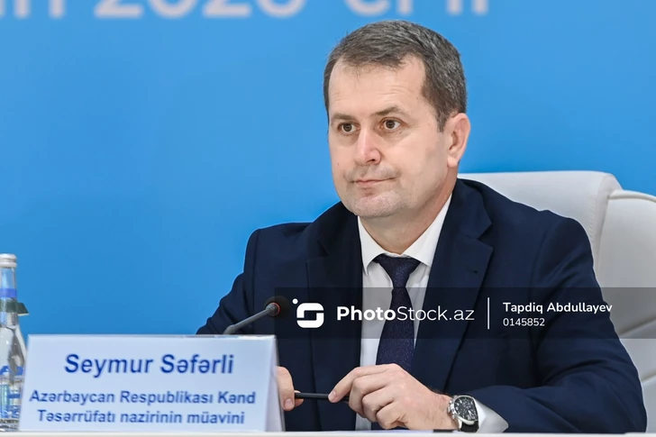 Media.az - Новости Азербайджана - В Азербайджане создадут 300 полуинтенсивных хозяйств для развития овцеводства