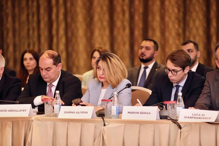 Media.az - Новости Азербайджана - Азербайджан, Грузия, Румыния и Венгрия перешли к реализации энергокоридора